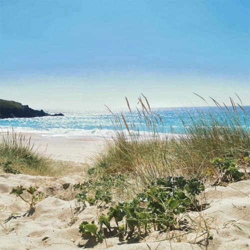 Terapia familiar en Narón