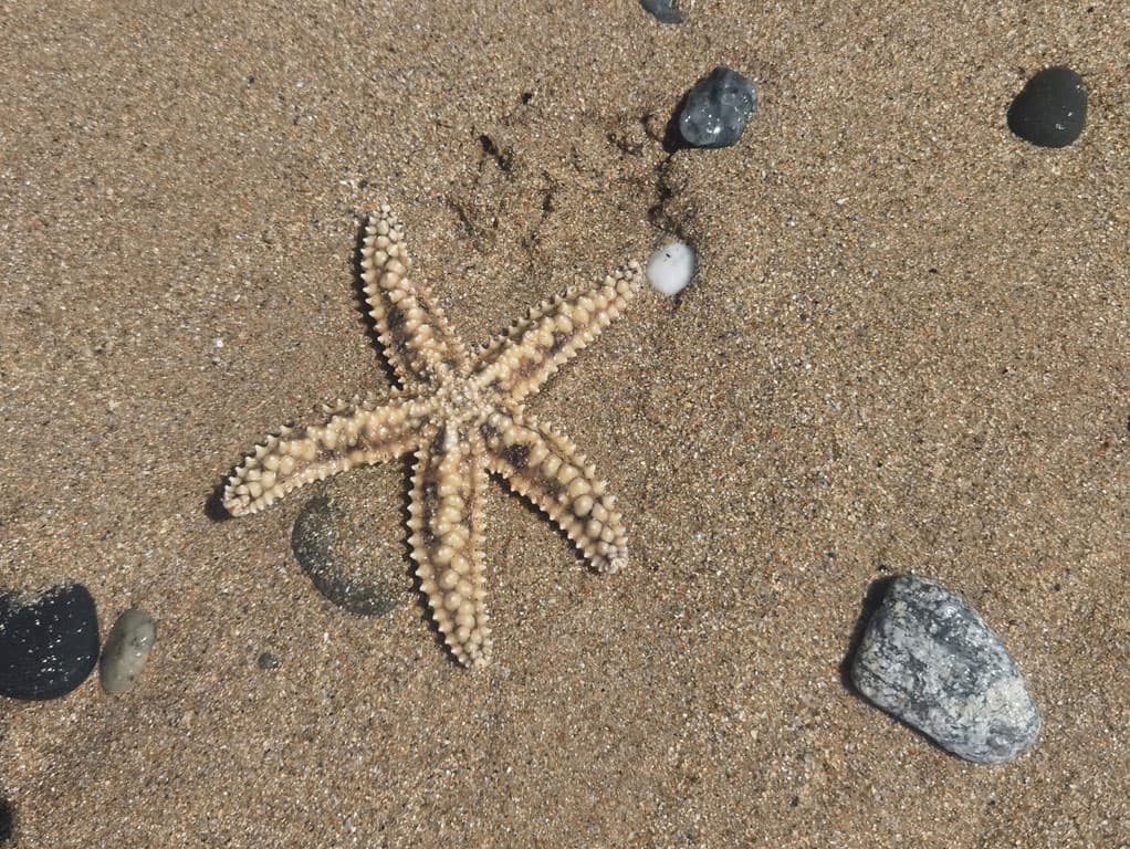 Terapia pareja en Narón